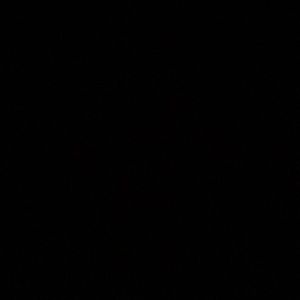 Meet your Posher, Chloechloe